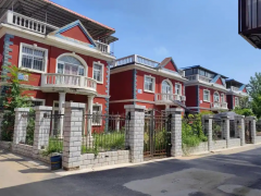 乡镇独门独院的自建房院子绿化这样做好看